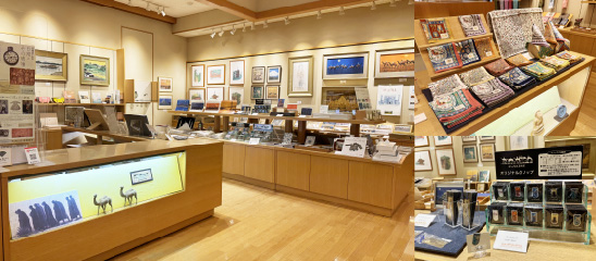Museum Shop